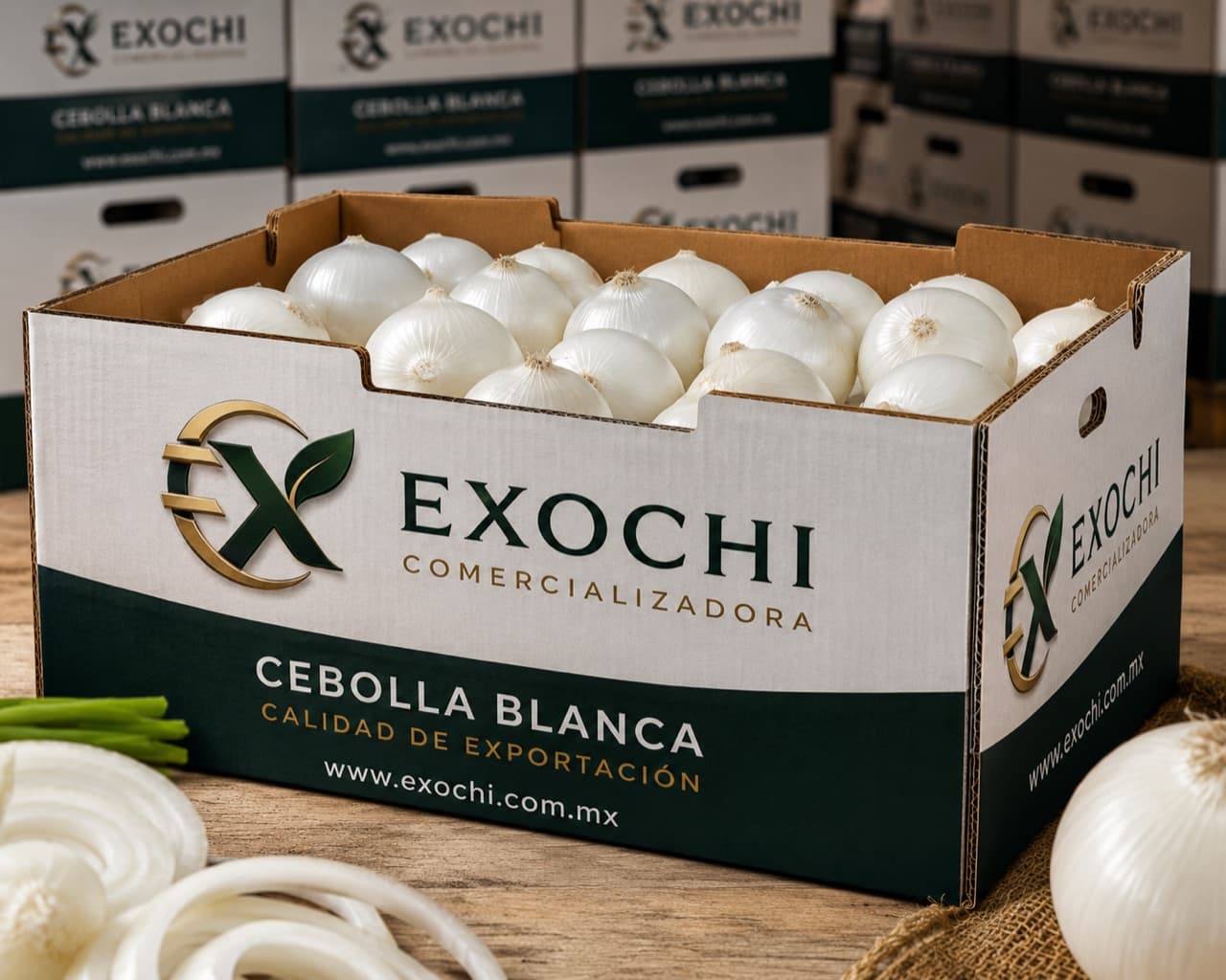 Cebolla blanca — EXOCHI