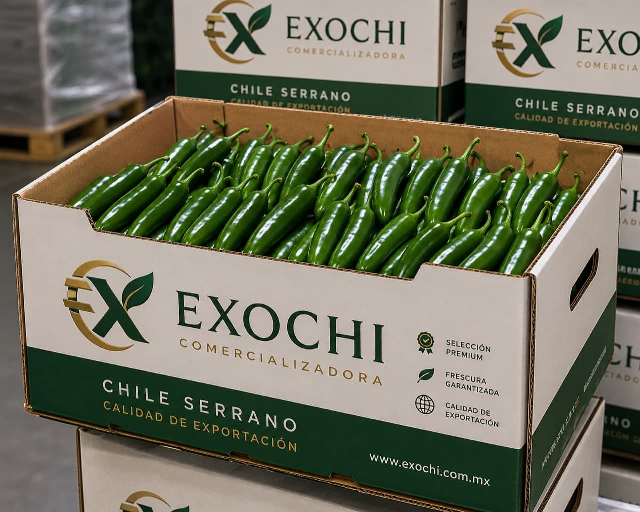 Chile serrano — EXOCHI
