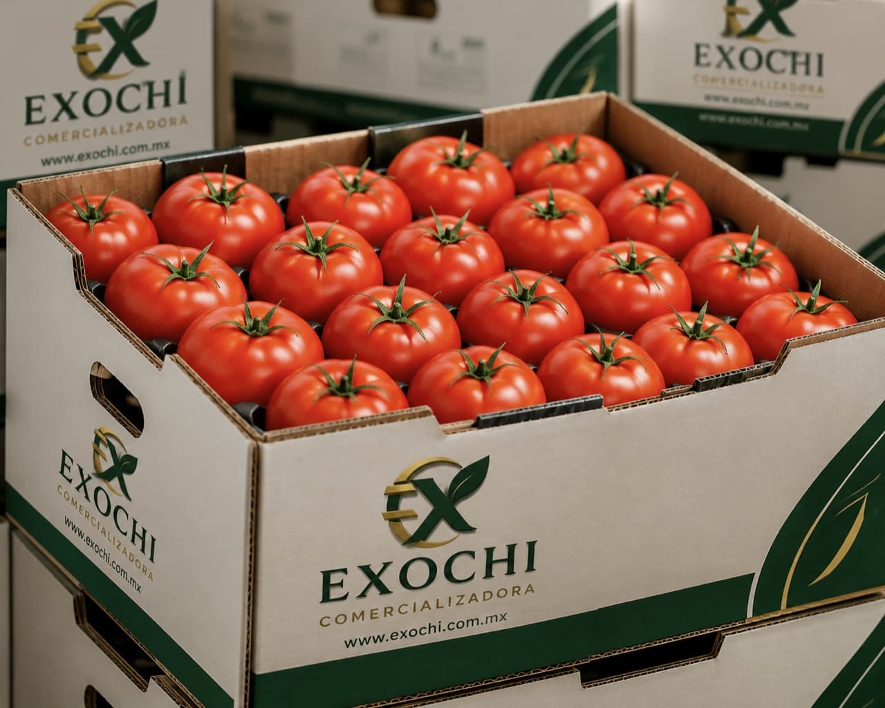 Jitomate saladet — EXOCHI